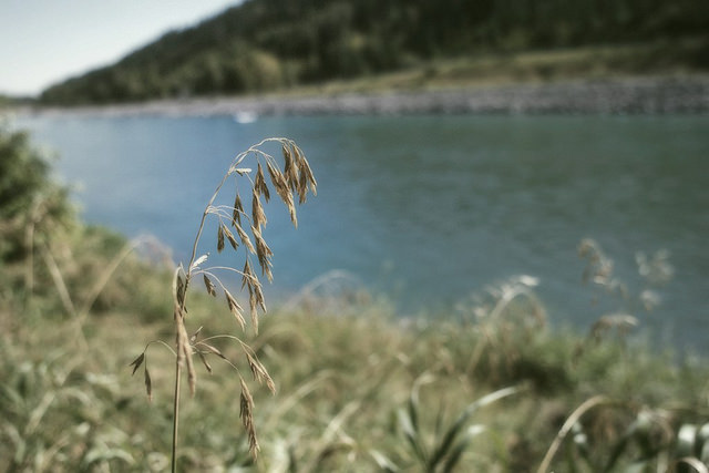 Copyright JM Schreiber 2014