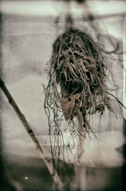 Taken in the aftermath of major flooding last year this looks like how I feel sometimes... Copyright JM Schreiber 2013 