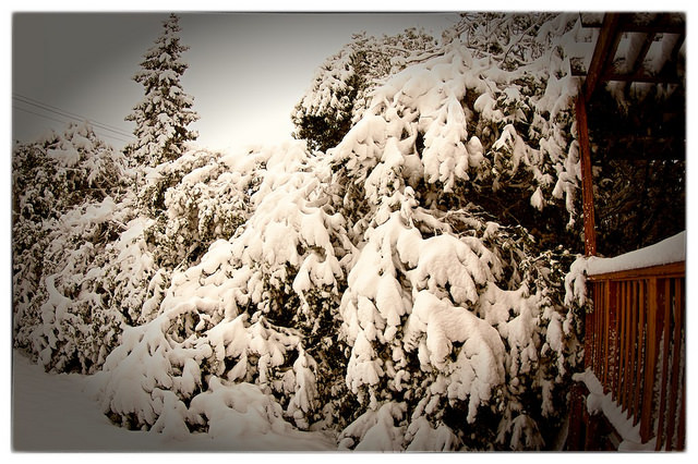 Copyright JM Schreiber 2014