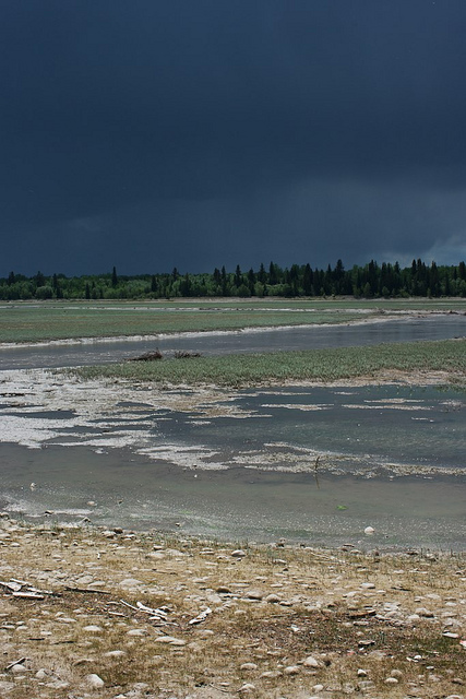 Copyright JM Schreiber 2011   Same location in the spring 