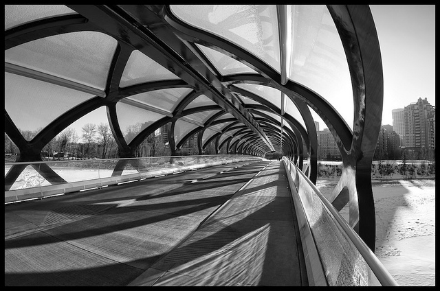 Copyright JM Schreiber, 2012