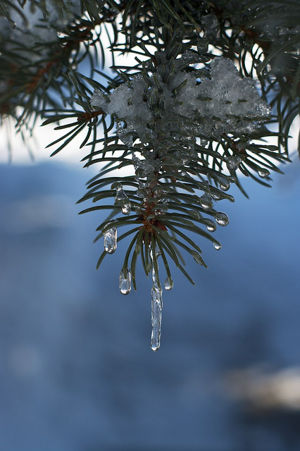 Copyright JJM Schreiber, 2011