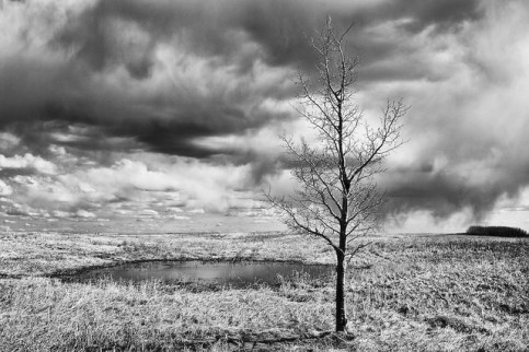 Copyright JM Schreiber, 2011