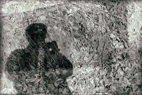 Copyright JM Schreiber, 2013