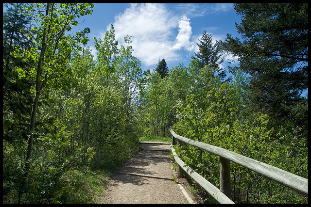 Copyright JM Schreiber, 2014