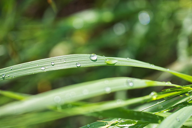 Copyright JM Schreiber, 2014