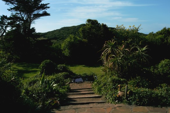 Eastern Cape farm garden