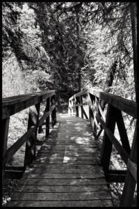 14344933323_66912ab5a8_z