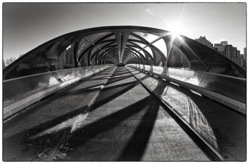 8294617299_b22c0cd186_z(1)