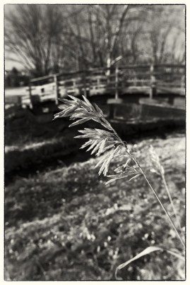 6412706291_3376c44b28_z