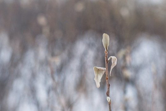 11592010455_89917d80e3_z1