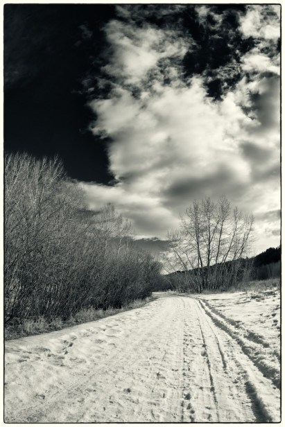 8460394828_a318b259c7_b