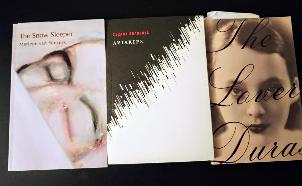 Women in Translation Month 2019: Some off-the-radar reading suggestions and my own modest&nbsp;proposal